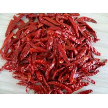 Organic Dry red S17 chili stemless